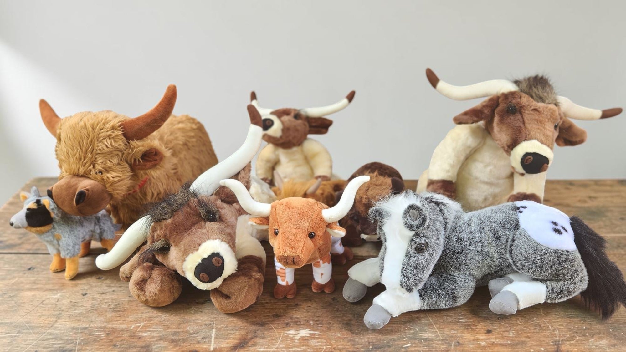 Plush Toys