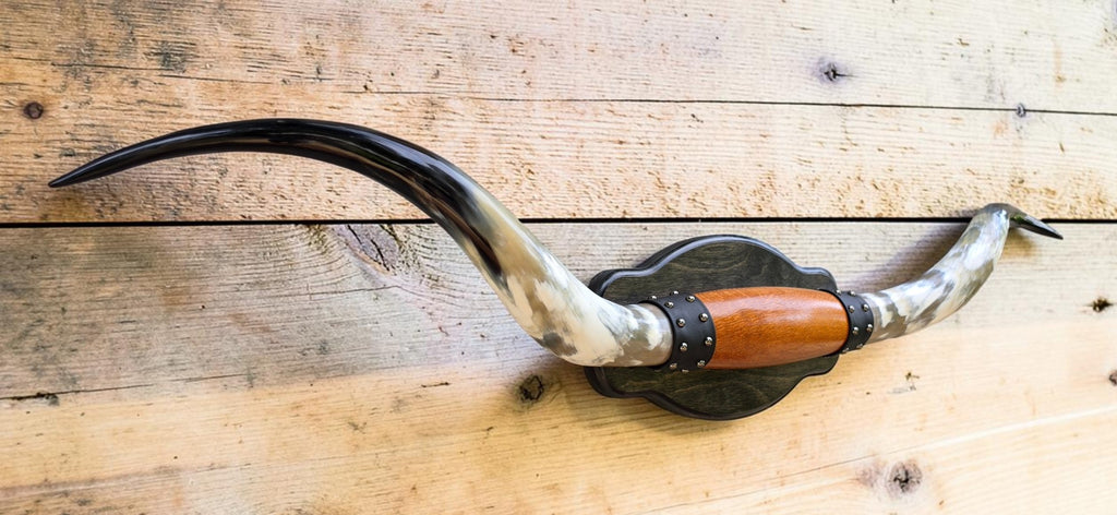Mounted Steer Horns