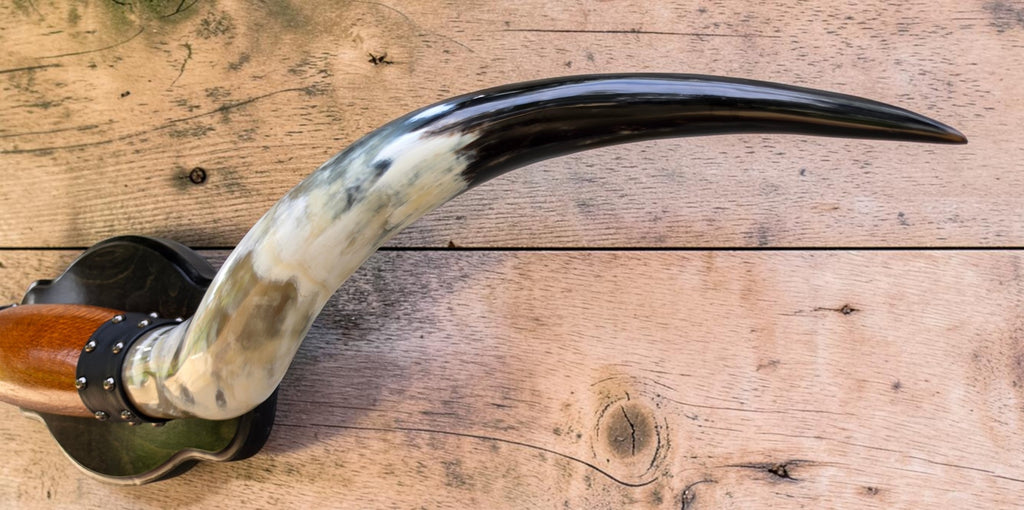 Mounted Steer Horns