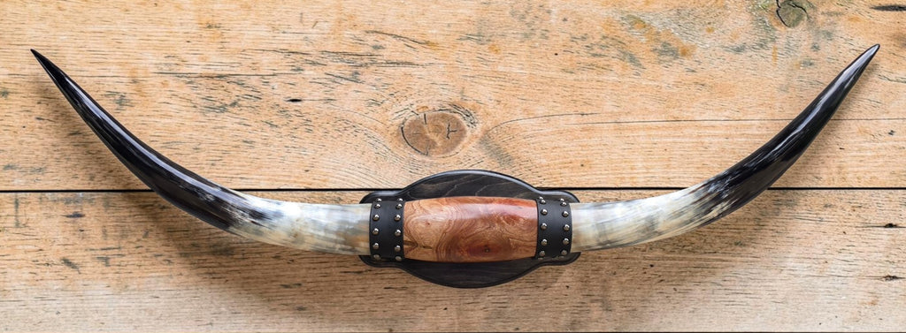 Mounted Steer Horns
