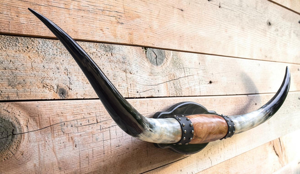 Mounted Steer Horns