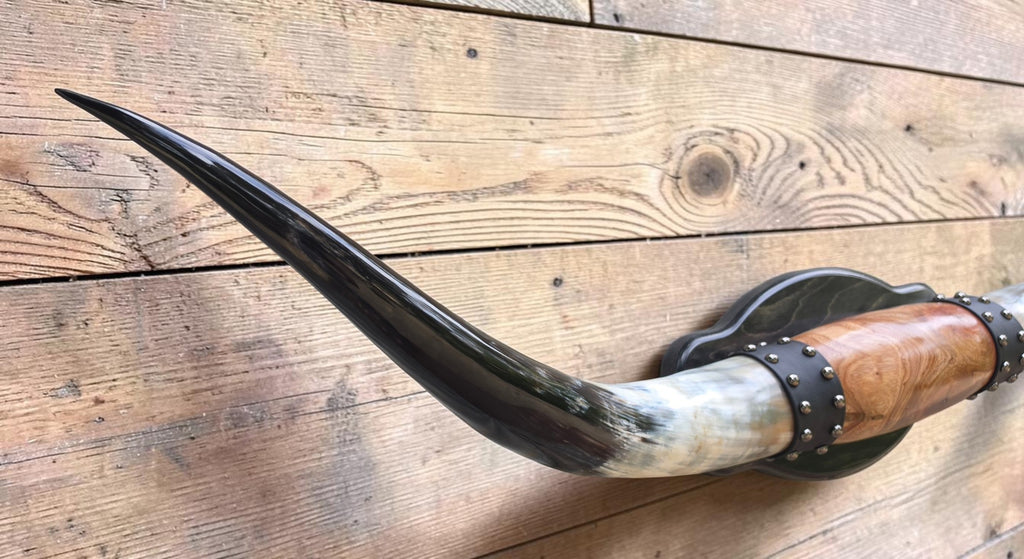 Mounted Steer Horns