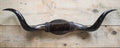 Mounted Steer Horns