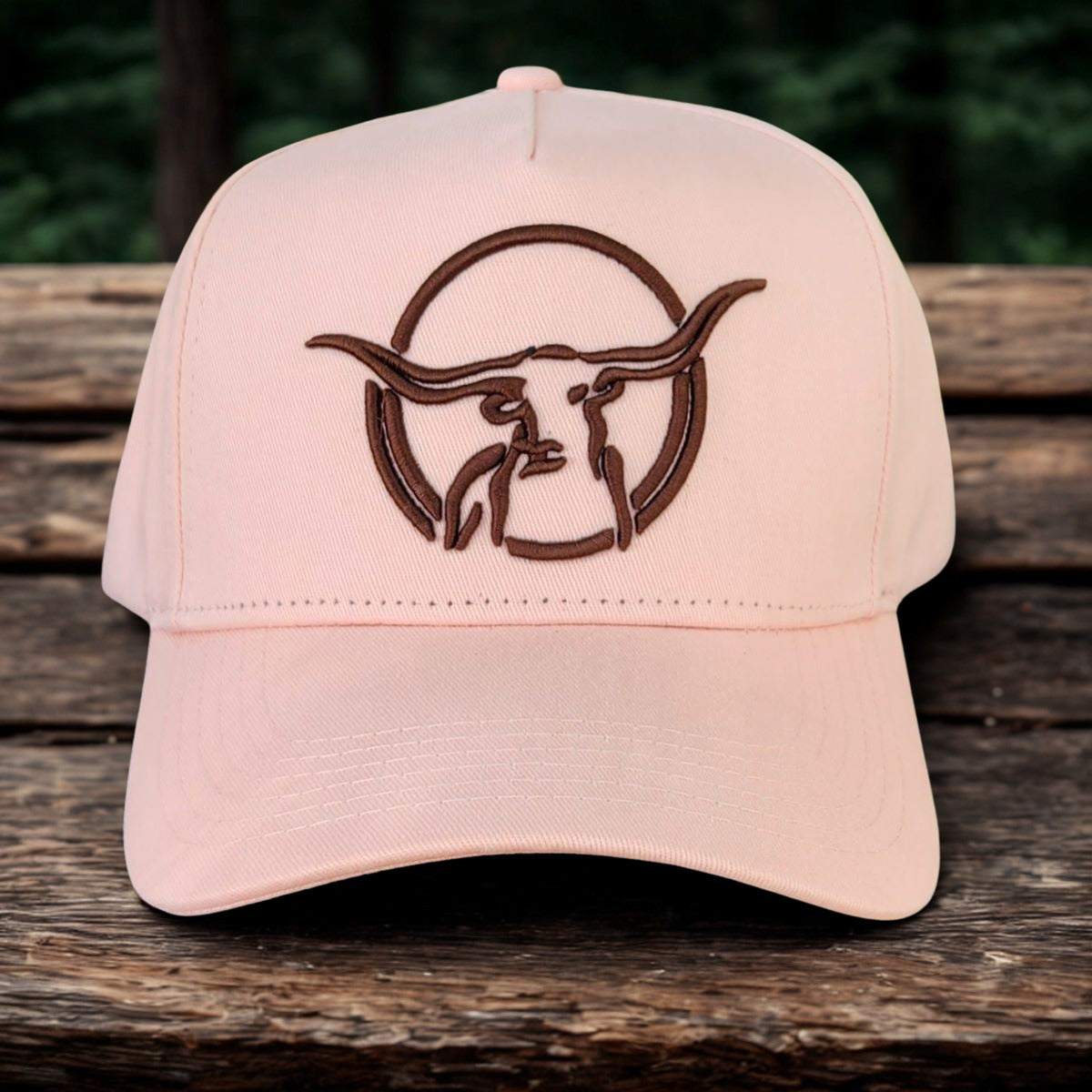 Texas Longhorn Tours baseball cap (pink/brown)