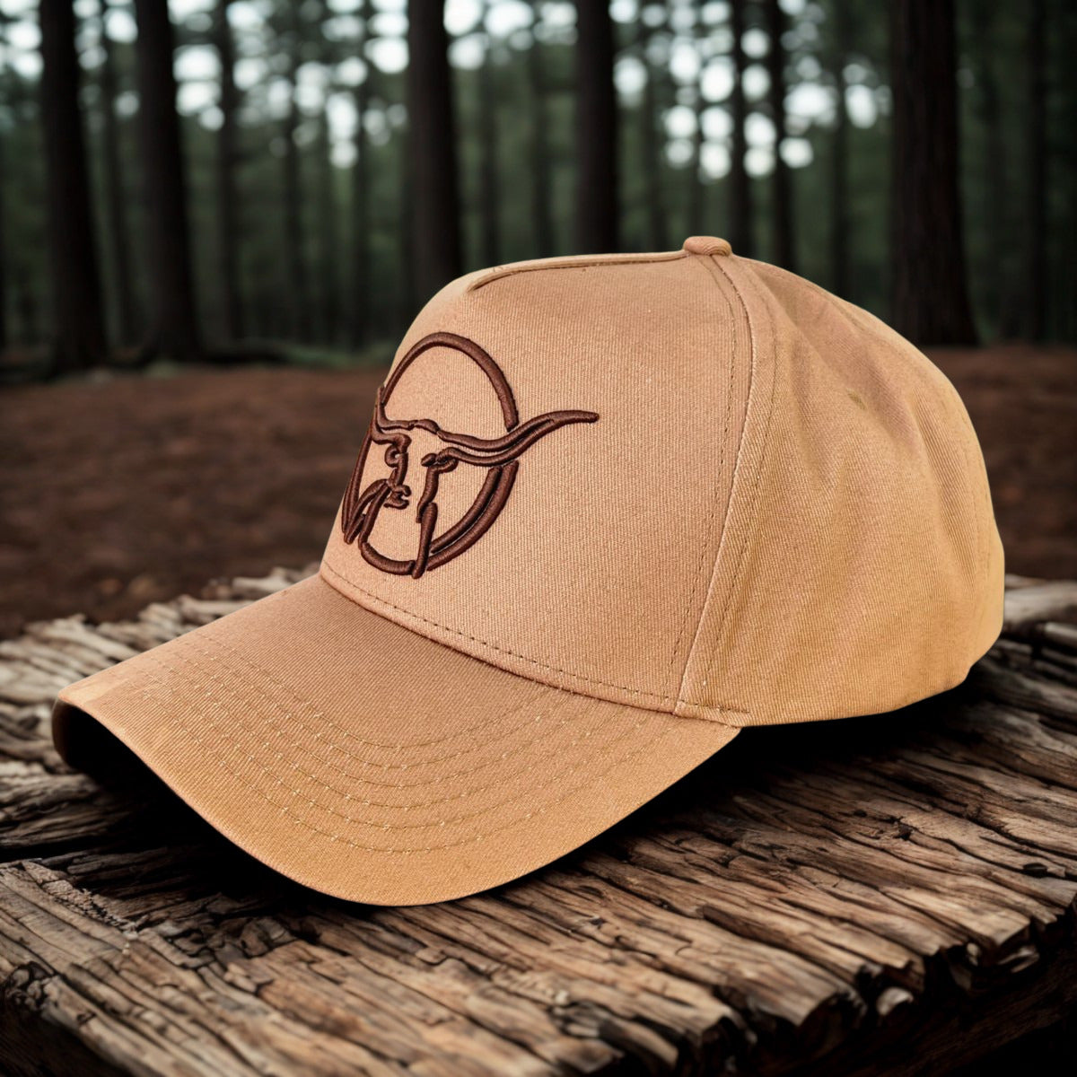 Texas Longhorn Tours baseball cap (tan/brown)