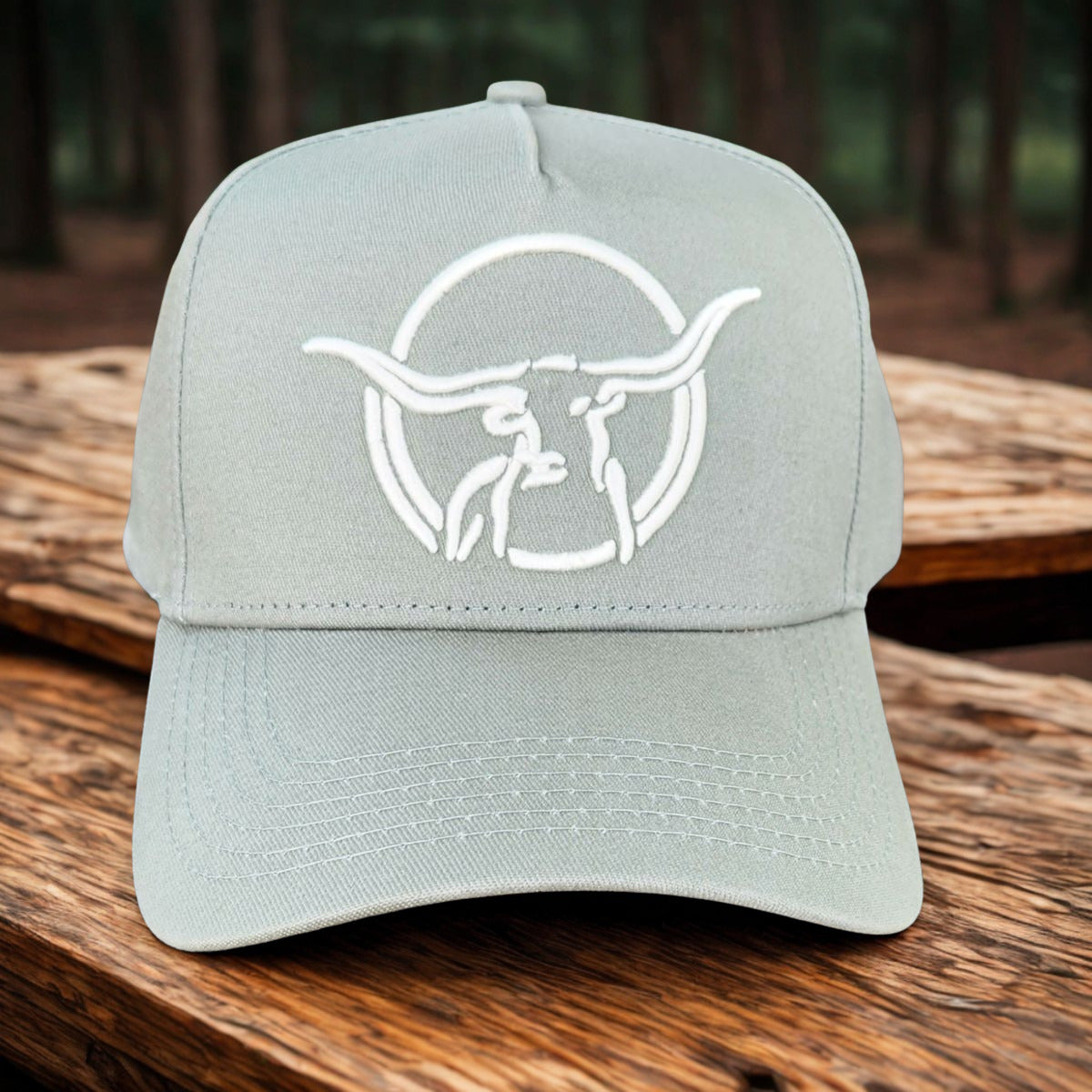 Texas Longhorn Tours baseball cap (sage/white)
